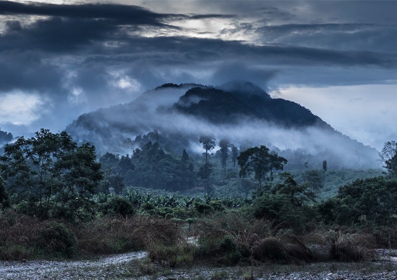 Rainforest Challenge Malaysia