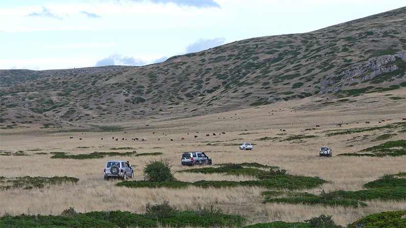 ruta las persiadas en marcha