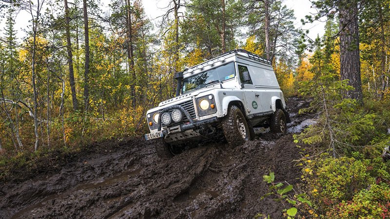 aurora boreal bosque y barro