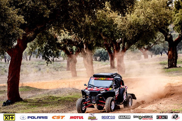 buggy t3 en la baja