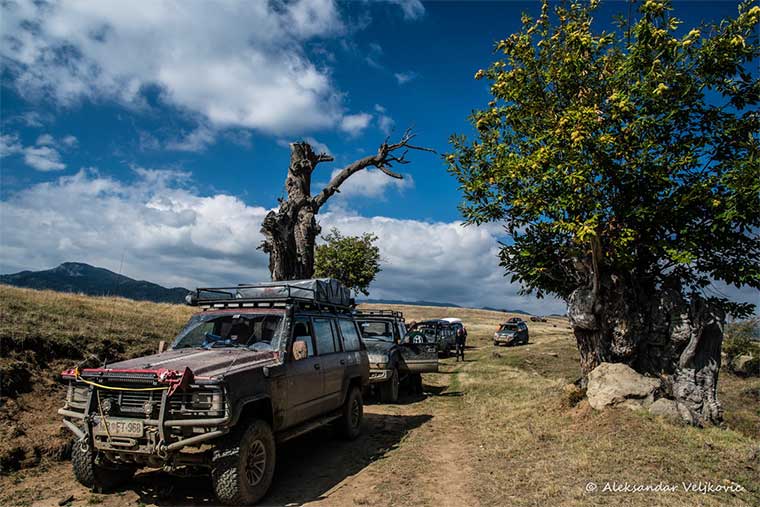 tracks balkans wild-7