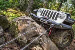 mejores cabrestantes